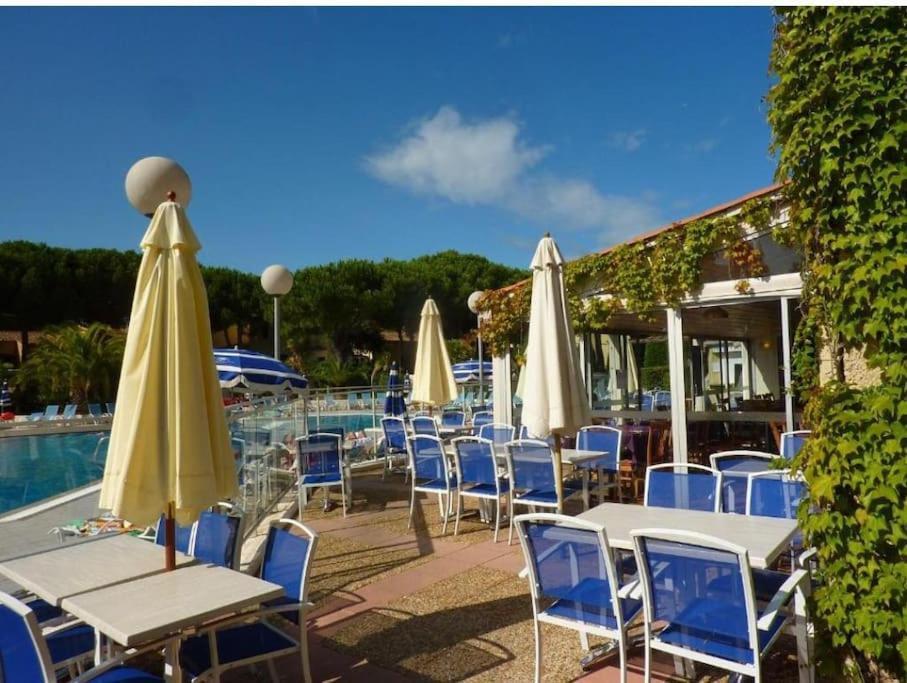 Studio Renove Dans Residence De Vacances Avec Grande Piscine Chauffee, Parking Et Terrasse Agde Dış mekan fotoğraf