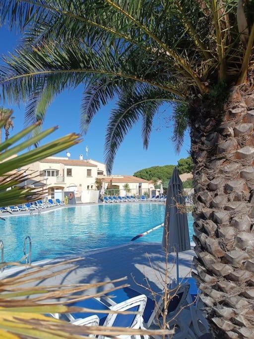 Studio Renove Dans Residence De Vacances Avec Grande Piscine Chauffee, Parking Et Terrasse Agde Dış mekan fotoğraf