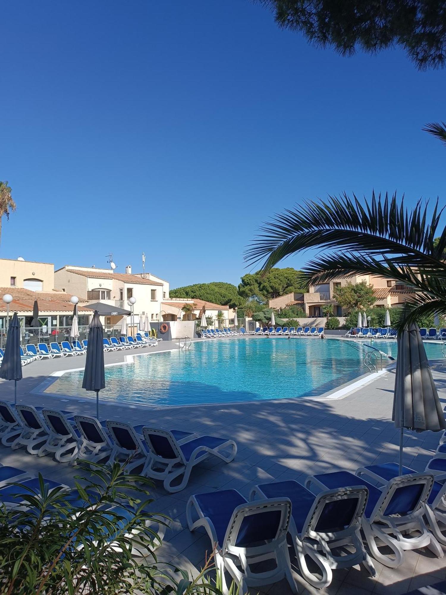 Studio Renove Dans Residence De Vacances Avec Grande Piscine Chauffee, Parking Et Terrasse Agde Dış mekan fotoğraf