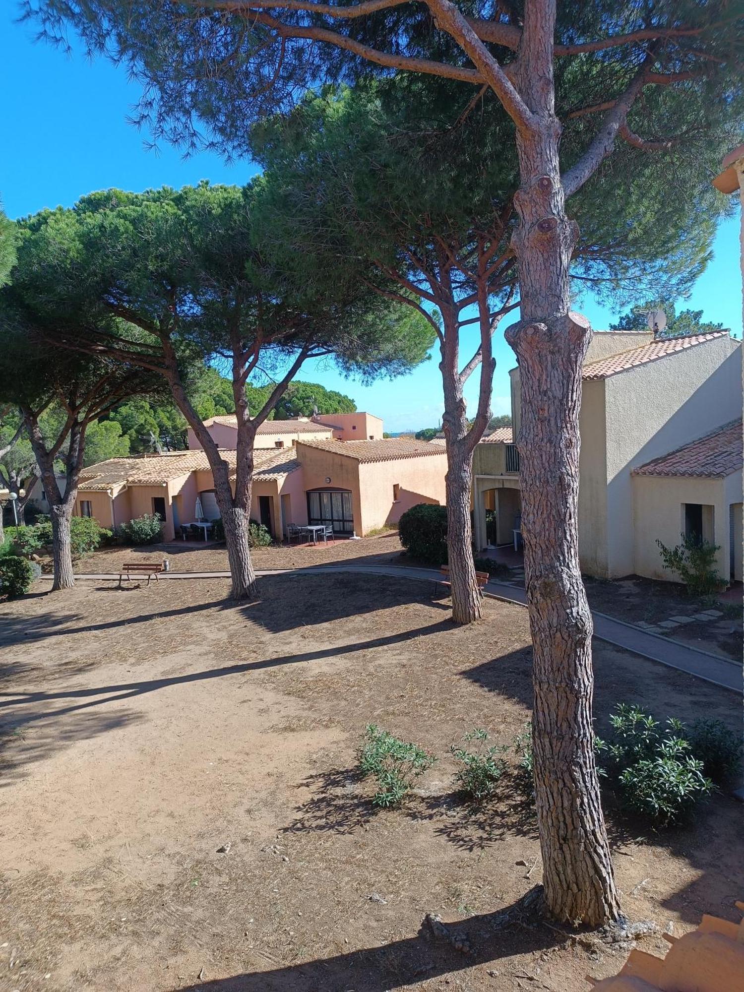 Studio Renove Dans Residence De Vacances Avec Grande Piscine Chauffee, Parking Et Terrasse Agde Dış mekan fotoğraf
